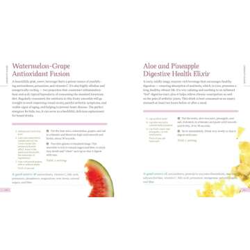 Raw Energy in a Glass: 126 Nutrition-Packed Smoothies, Green Drinks, and Other Satisfying Raw Beverages to Boost Your Well-Being