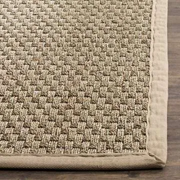 SAFAVIEH Natural Fiber Rug - 2' x 3' for Entryways