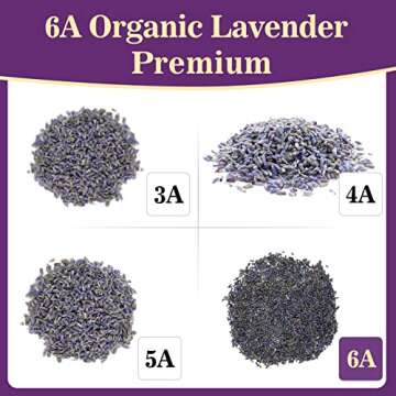 Sukh 3oz Lavender Dried Lavender - Lavender Buds Sachets for Drawers and Closets Lavender Flowers Sa...