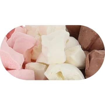 Arctic Farms Neapolitan Freeze Dried Ice Cream Bits 1oz