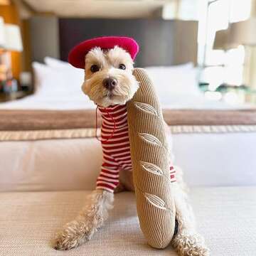 CHEWFFON Interactive Dog Puzzle Toys - Enrichment Snuffle Toys for Stress Relief, Encourages Instinctual Foraging in Small, Medium & Large Dogs