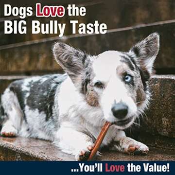 Cadet Bully Hide Sticks for Small Dogs, All-Natural Beef Pizzle, Limited-Ingredient Long-Lasting Dog Chews for Aggressive Chewers, 9 Count