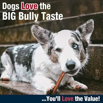 Cadet Bully Hide Sticks for Small Dogs, All-Natural Beef Pizzle, Limited-Ingredient Long-Lasting Dog Chews for Aggressive Chewers, 9 Count