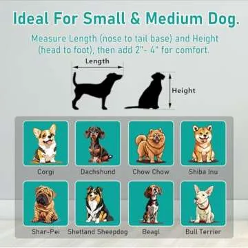 Two-Level Homey Dog Crate for Medium Dogs - Escape Proof