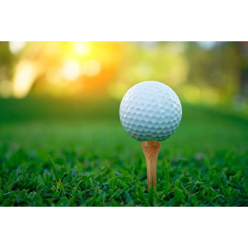 WHAMZ33 Bamboo Golf Tees - Durable 100-pack, 2 3/4 inch