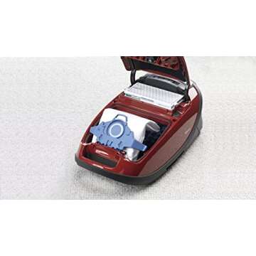 Miele 10123210 AirClean 3D Efficiency Dust Bag, Type GN, 4 Bags & 2 Filters, White