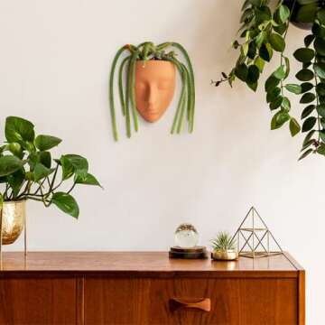 Bossa Linda Face Wall Planter | 7 Colors Avail | Unique Plant Lover Gifts for Indoor Wall Decor | Pe...