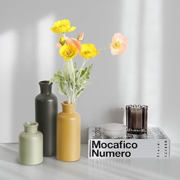 Eyamumo Ceramic Vase Set of 3 for Home Decor Accents