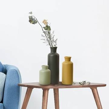 Eyamumo Ceramic Vase Set of 3 for Home Decor Accents