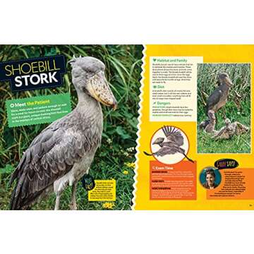 Wild Vet Adventures: Dr. Gabby Wild's Animal Journeys