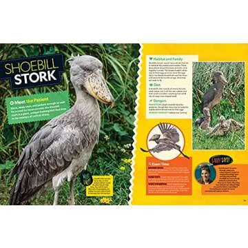 Wild Vet Adventures: Dr. Gabby Wild's Animal Journeys