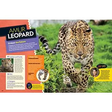 Wild Vet Adventures: Dr. Gabby Wild's Animal Journeys