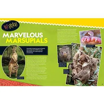 Wild Vet Adventures: Dr. Gabby Wild's Animal Journeys