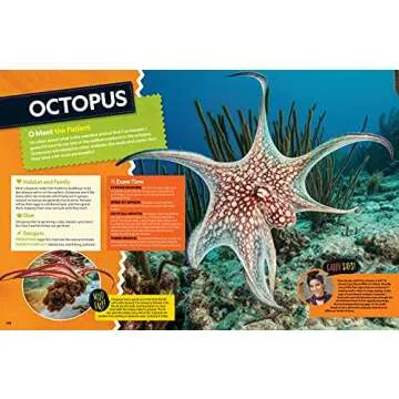 Wild Vet Adventures: Dr. Gabby Wild's Animal Journeys