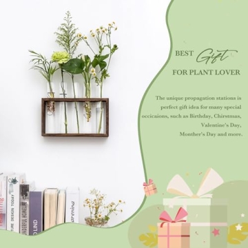 Mkono Wall Hanging Glass Planter for Plant Propagation