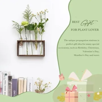 Mkono Wall Hanging Glass Planter for Plant Propagation