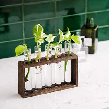 Mkono Wall Hanging Glass Planter for Plant Propagation