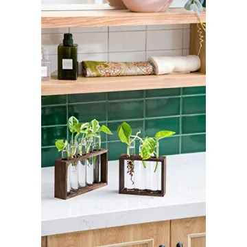 Mkono Wall Hanging Glass Planter for Plant Propagation