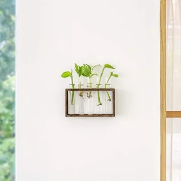 Mkono Wall Hanging Glass Planter for Plant Propagation