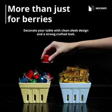 NEXVENTI Ceramic Berry Basket Bowl Set of 4 with Coasters