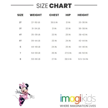 Disney Minnie Mouse Big Girls Outfit - Sweatshirt & Skirt