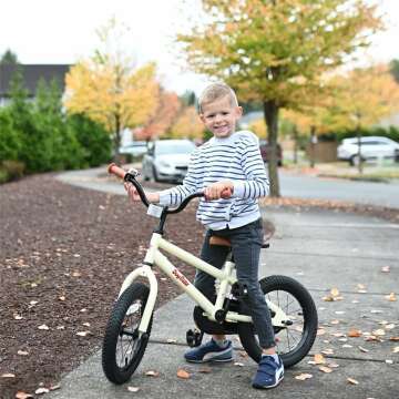 JOYSTAR BMX Style Kids Bike for 2-12 Years Old