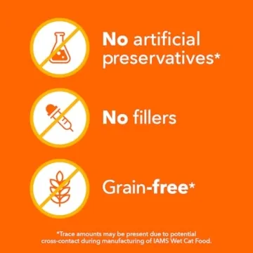 IAMS Cut in Gravy Wet Cat Food for Healthy Kittens