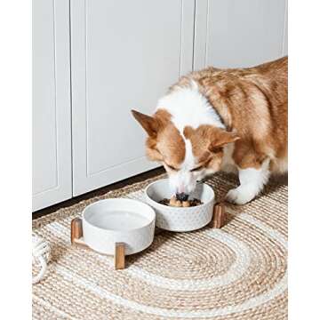 LE TAUCI Dog Bowls Ceramic, Bowl Set with Acacia Wood Stand, 3 Cups Dog Food and Water Bowl for Smal...