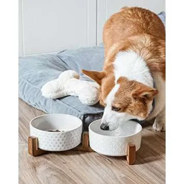 LE TAUCI Dog Bowls with Acacia Wood Stand - Stylish Design