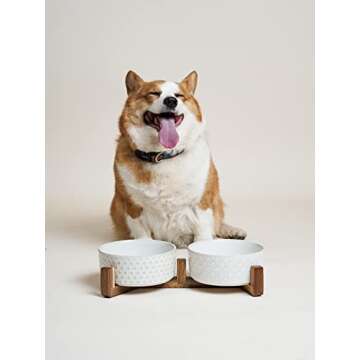 LE TAUCI Dog Bowls with Acacia Wood Stand - Stylish Design