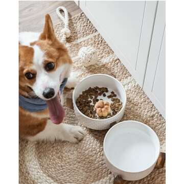 LE TAUCI Dog Bowls with Acacia Wood Stand - Stylish Design