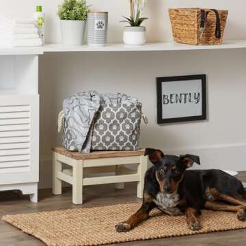 Chic Bone Dry Pet Storage Bin for Stylish Organization