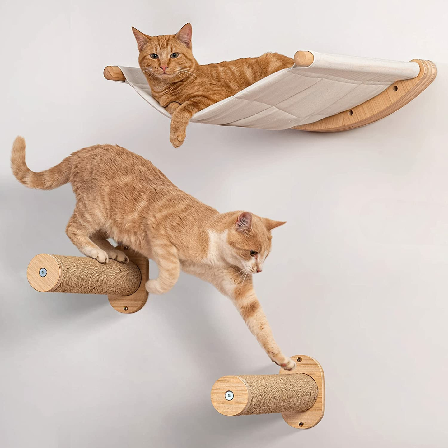 Wall Mounted Cat Hammock with Steps for Cats