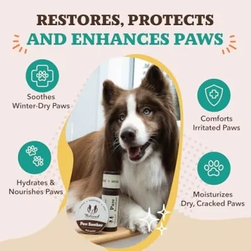 Natural Dog Company Paw Soother Balm for Dogs Moisturizing Relief