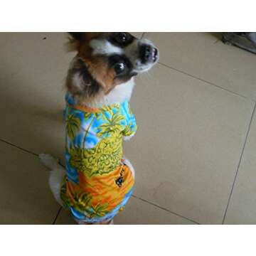 Tropical Tangpan Dog Shirt for Summer Adventures