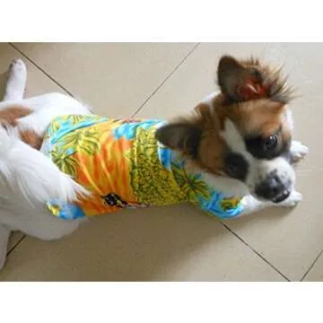 Tropical Tangpan Dog Shirt for Summer Adventures
