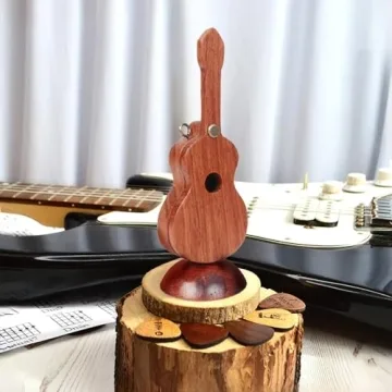 Custom Guitar Plectrum with Box for Musicians