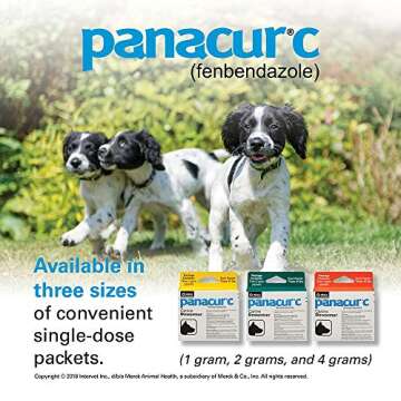 Panacur C Canine Dewormer (Fenbendazole), 1 Gram, Yellow, 3 Count (Pack of 1)