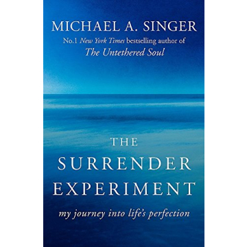 Michael A. Singer 2 Book Collection - Surrender & Soul Journey