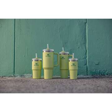Stanley Quencher H2.0 Tumbler | Insulated | Eco-Friendly | 14oz
