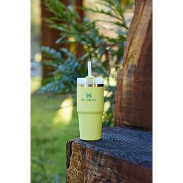 Stanley Quencher H2.0 Tumbler | Insulated | Eco-Friendly | 14oz