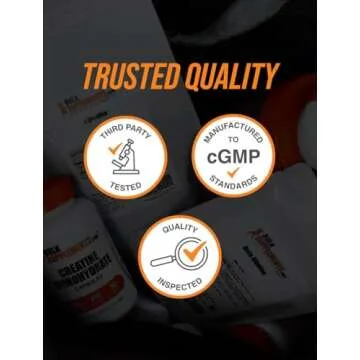 BulkSupplements.com Ascorbic Acid Powder - Vitamin C Supplement, Ascorbic Acid Food Grade - Powdered Vitamin C, Immune Support - Gluten Free, 1g per Serving, 500g (1.1 lbs) (Pack of 1)