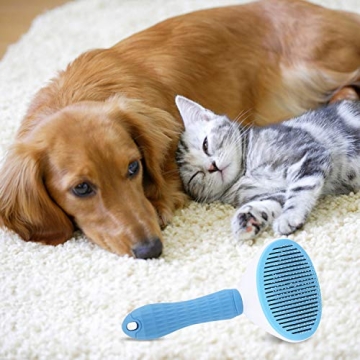 Depets Self Cleaning Slicker Brush for Dogs and Cats