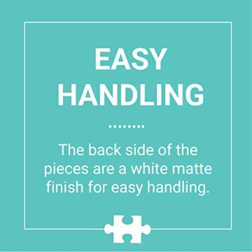 Mudpuppy 500 Piece Birds Jigsaw Puzzle for Family Fun