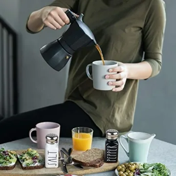 Brighter Barns Salt and Pepper Shakers Stylish Kitchen Decor