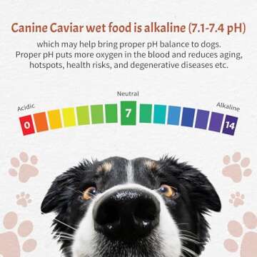Canine Caviar - Salmon Canned Wet Dog Food, Single Protein Formula, Alkaline Food Topper, Limited Ingredients, Gluten-Free, Based on Science & Research, Veterinary Alternative Diet (12.7 oz, 12-Pack)