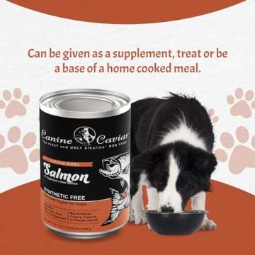 Canine Caviar - Salmon Canned Wet Dog Food, Single Protein Formula, Alkaline Food Topper, Limited Ingredients, Gluten-Free, Based on Science & Research, Veterinary Alternative Diet (12.7 oz, 12-Pack)