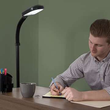 Lavish Home 72-0890 Full Spectrum Natural Sunlight Floor Lamp with Bendable Neck-Reading, Craft, Studying, and Esthetician Light, 62.5", Black