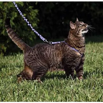 PetSafe Come with Me Kitty Harness and Bungee Leash, Large, Lilac