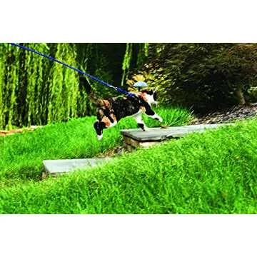 PetSafe Come with Me Kitty Harness and Bungee Leash, Large, Lilac